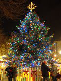 Lighted Christmas Tree